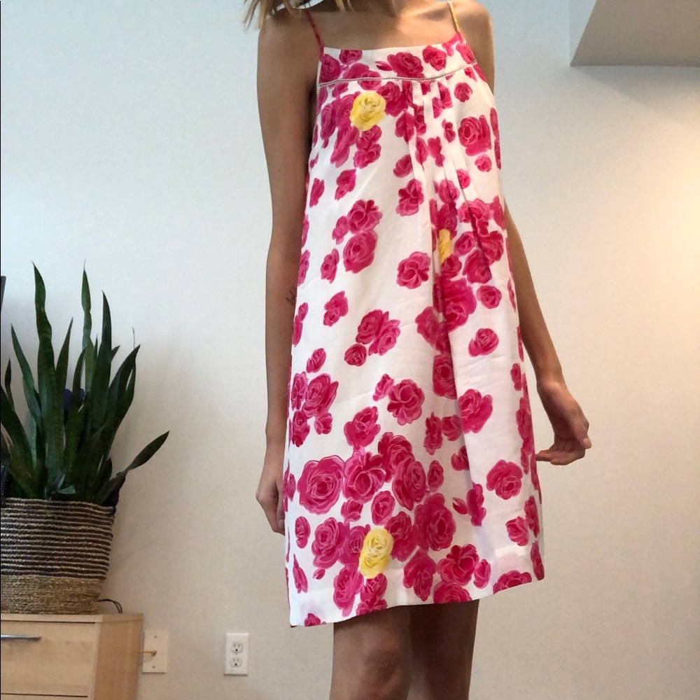 Anthropologie Silk Rose Dress